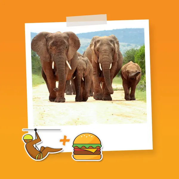 Combo Mana T Tirolesa