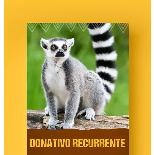 Me ZOOmo mensualmente con $250