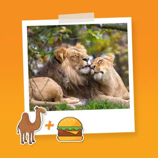 Combo Pareja T Paseo