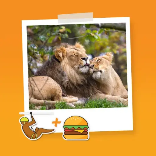 Combo Pareja T Tirolesa