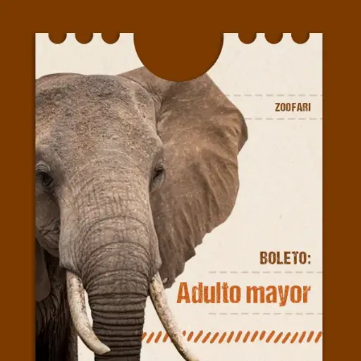 Adulto mayor
