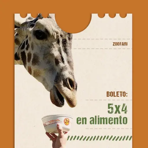 Promoción 5x4 botes